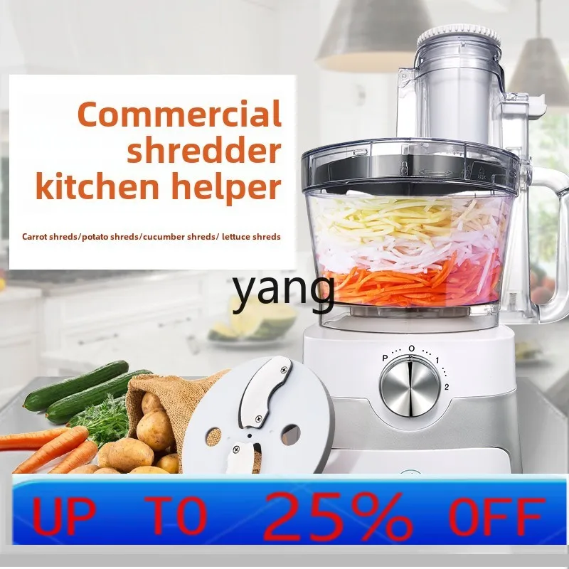 

LMM commercial planer, potatoes, radishes, cucumbers, shredded and cut chili rings, scallions, sliced and diced