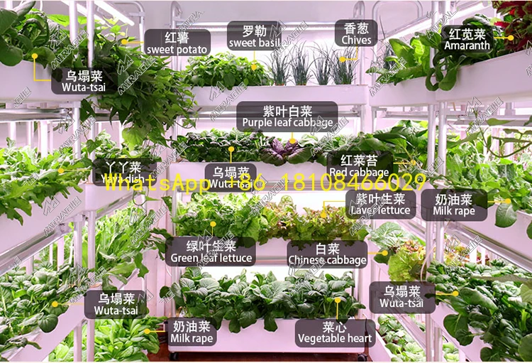 e Smart Planter أنظمة الزراعة المائية بالفراولة والزراعة بدون تربة والخضروات المائية #1