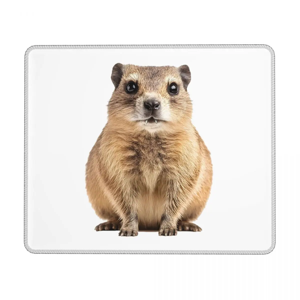 

Коврик для мыши Rock Hyrax, коврик для компьютерной клавиатуры, коврик для мыши, игровой коврик для ПК, офисные аксессуары, настольные коврики