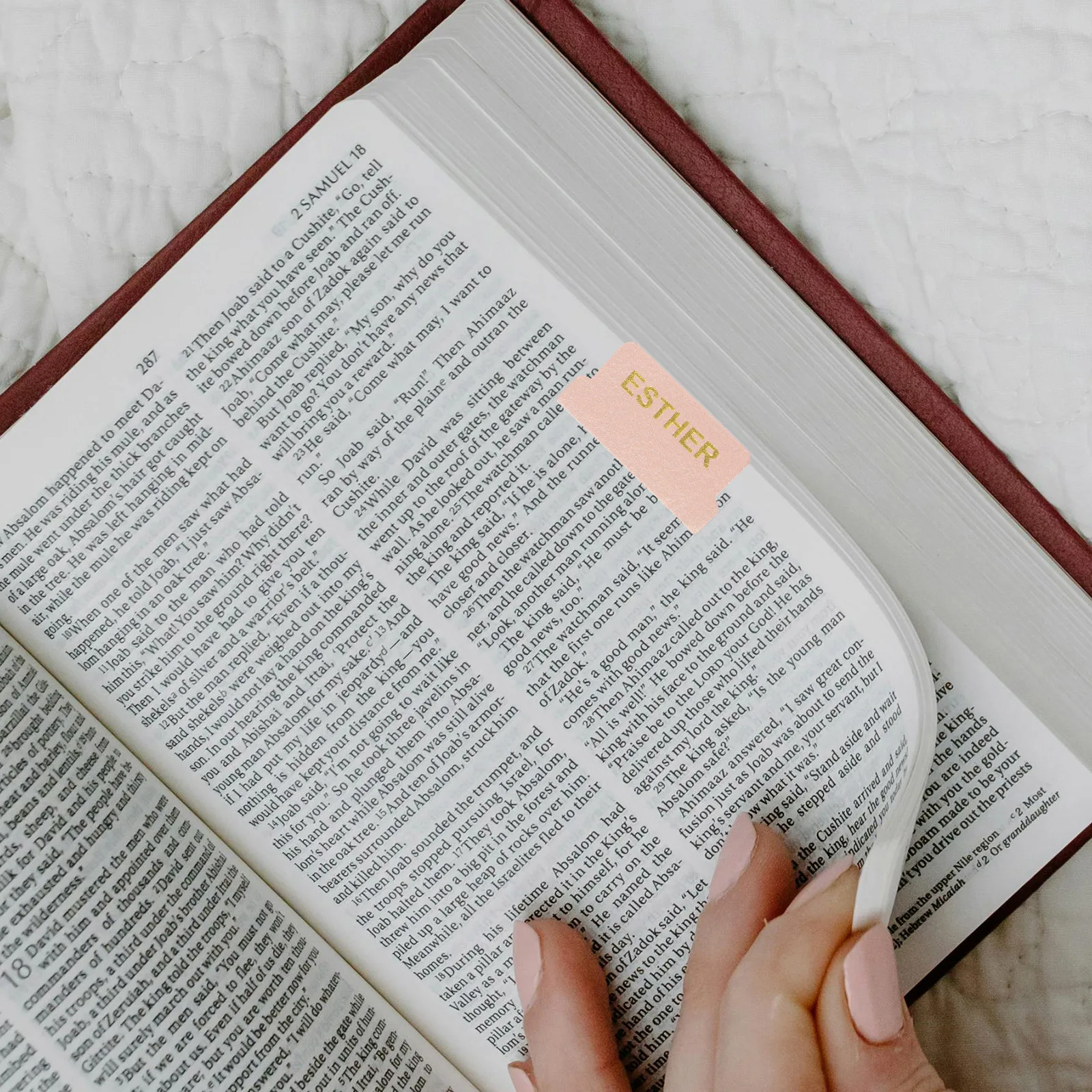 

Bible Labels 66 Index Tabs 14 Blank Rose Gold Practical Study Supplies Bookmarks For Bible Enthusiasts