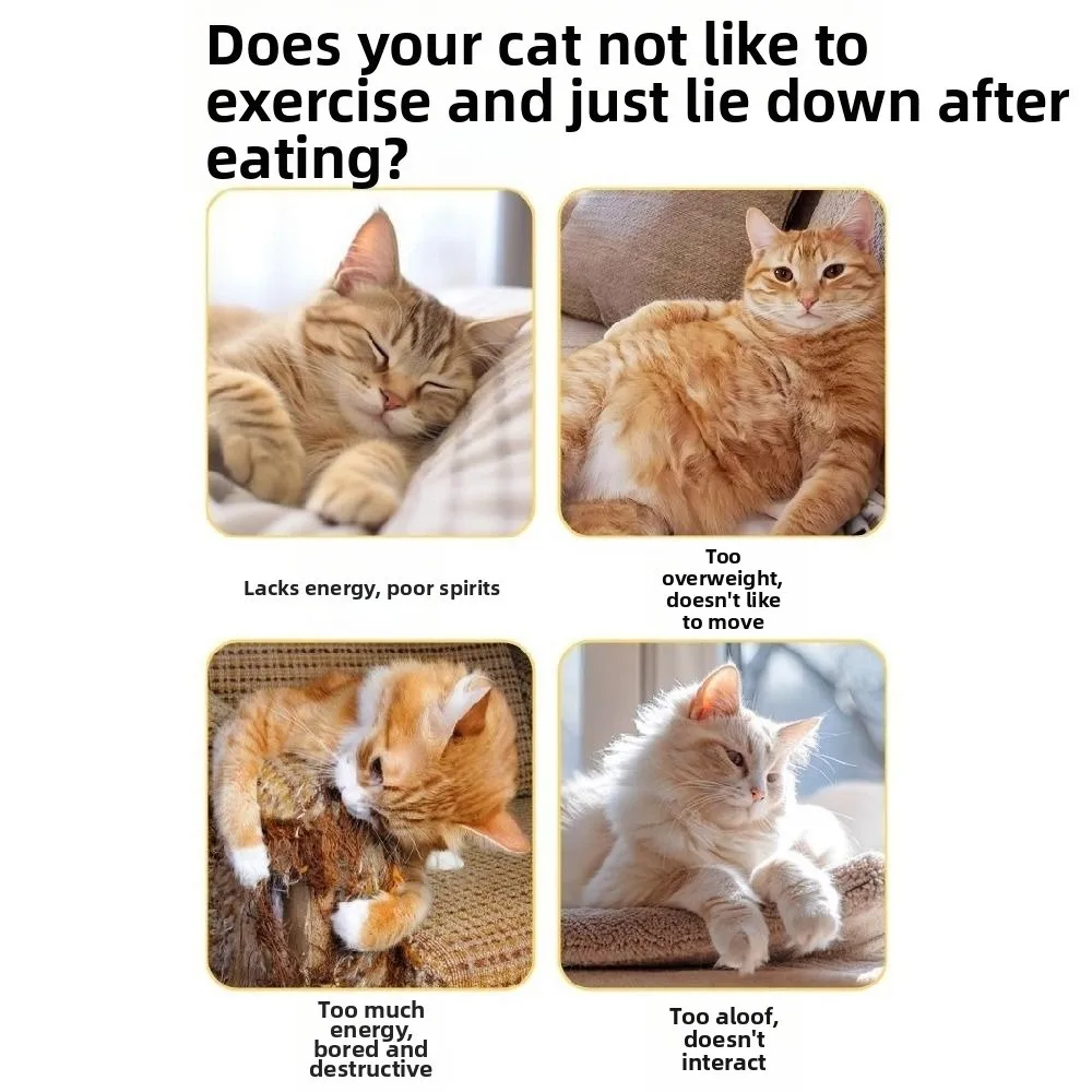 

Creative Interactive Cat Puzzle Box Funny Detachable Cat Exercise Household Bell Maze Box Pet Puzzle Track Pet Accessories