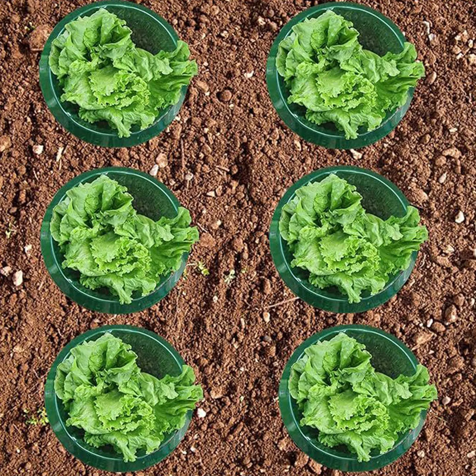 Protector de caracol para maceta, Collar de babosa, 10 piezas, accesorios agrícolas para jardín, herramientas