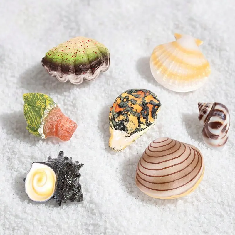 Simulation Oenux Realistic Seashell Figurines Clam Oyster Scallop Conch Mantis Shrimp Model Marine Animal Shell Home