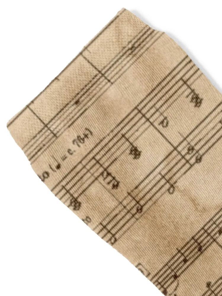 Pachelbel's Canon Socks gym floor anti slip football Antiskid soccer Women's Socks Men's