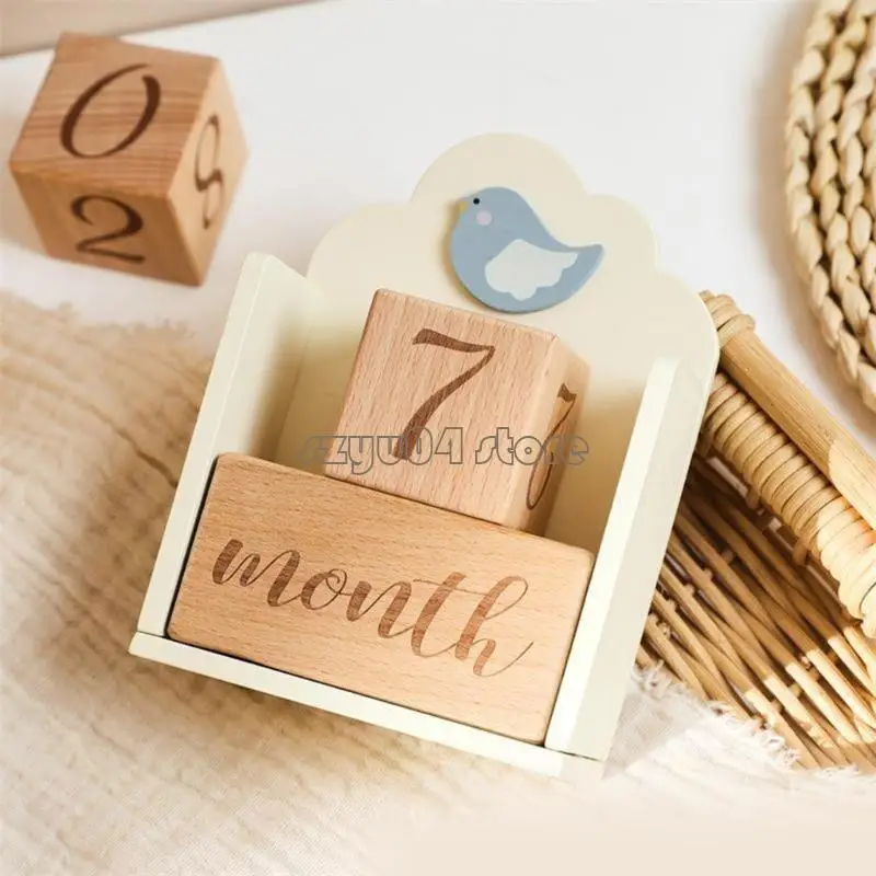 

4x7d Baby Baby Monthly Mileshones Card Blocks Square.