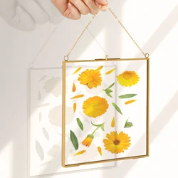 Hanging Glass Metal Photo Picture Frame Flower Plant Specimen Display Decor Hanging Picture Frame Chain Artwork Display Frame