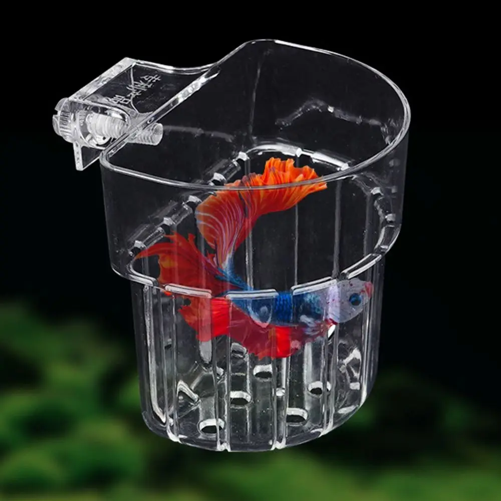 

Water Plant Landscape Fish Tank Hydroponic Planting Basket Transparent Landscaping Basin Hanging Aquarium Plant Holder