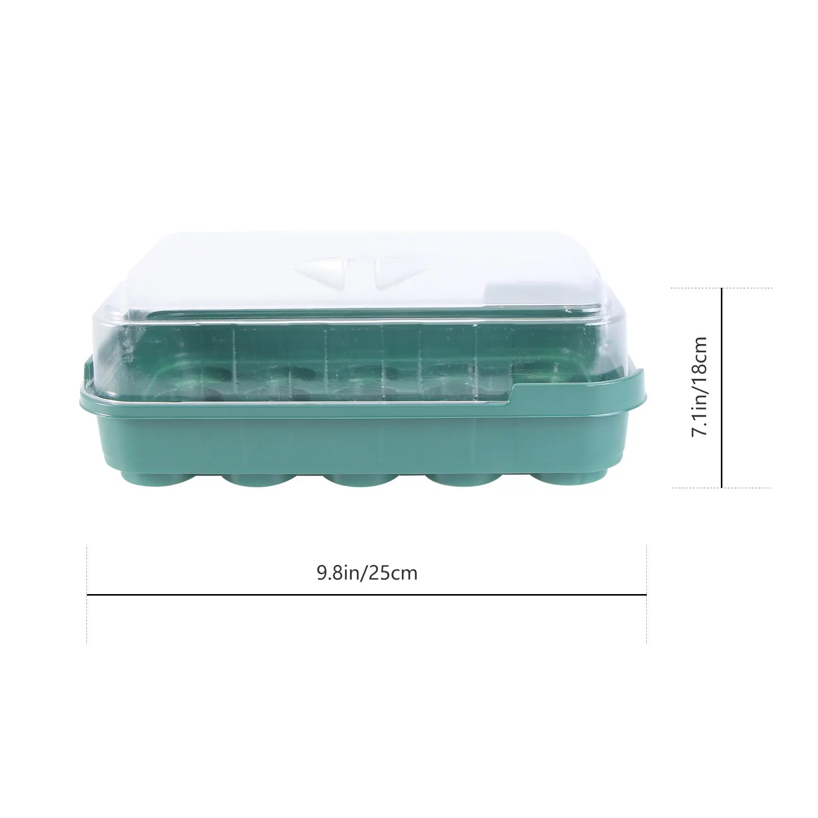 Plant Nursery Tray 20 Grids Plastic Germination Box Transparent Cover Stackable Sprouter Tray Hydroponic Plant Grower