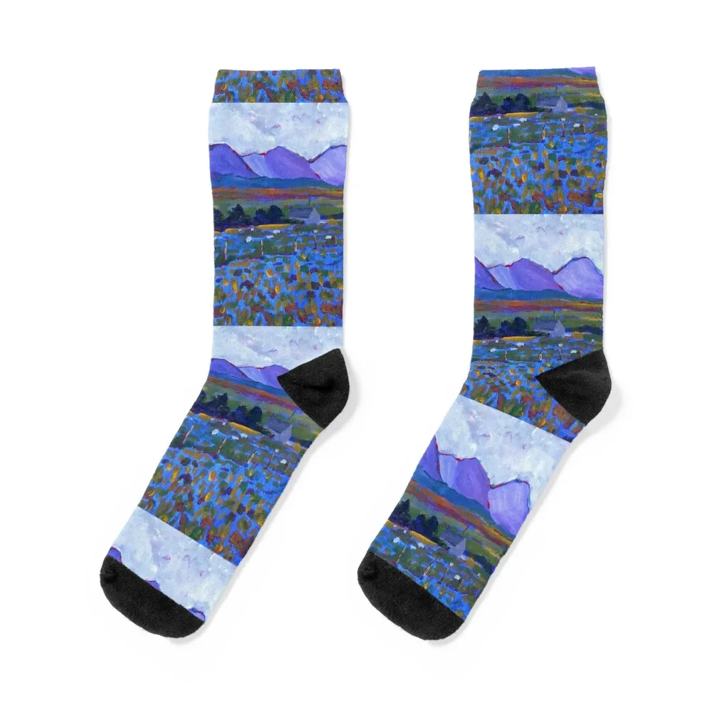 

Errigal And Her Sisters (Donegal, Ireland) Socks summer Rugby hockey Women's Socks Men's