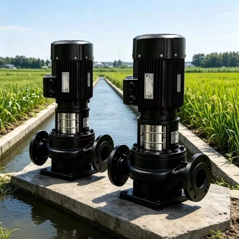 High-Power Water Supply and Industrial Circulation Booster Pump