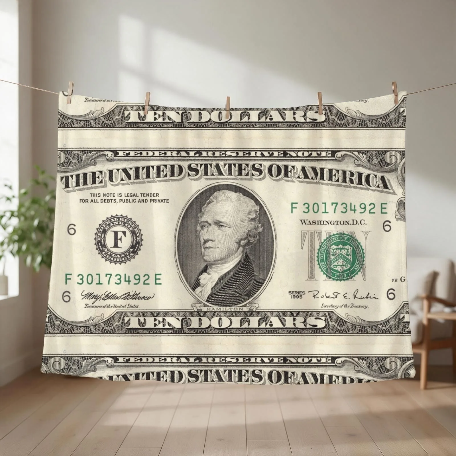 United States ten-dollar bill - Alexander Hamilton Throw Blanket couch cozy soft plush fuzzy picnic outdoor blanket
