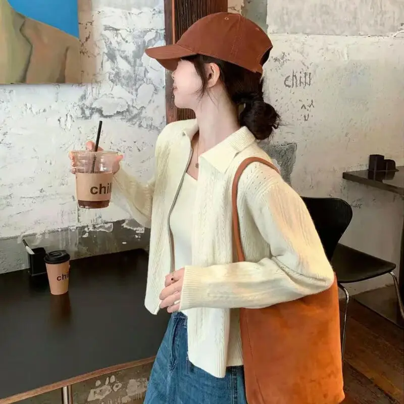 เสื้อสเวตเตอร์ เสื้อแจ็คเก็ต เสื้อกล้าม เสื้อกั๊ก ชุดเซ็ตสองชิ้น เสื้อคลุมถัก เสื้อไหมพรม เสื้อคลุมแขนยาว เสื้อโค้ท สีพื้น ฤดูใบไม้ร่วง ฤดูหนาว เสื้อถักพื้นฐาน