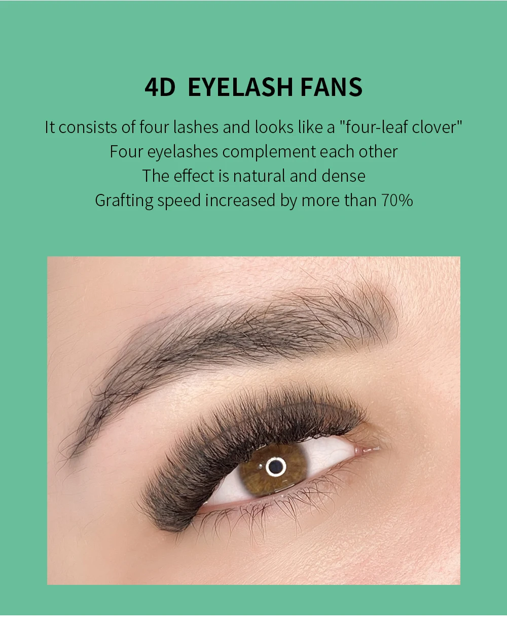 GLAMLASH 4DW 5DW 0,10mm Curl Wimpernverlängerung Künstliche Wimpern – Detail 3