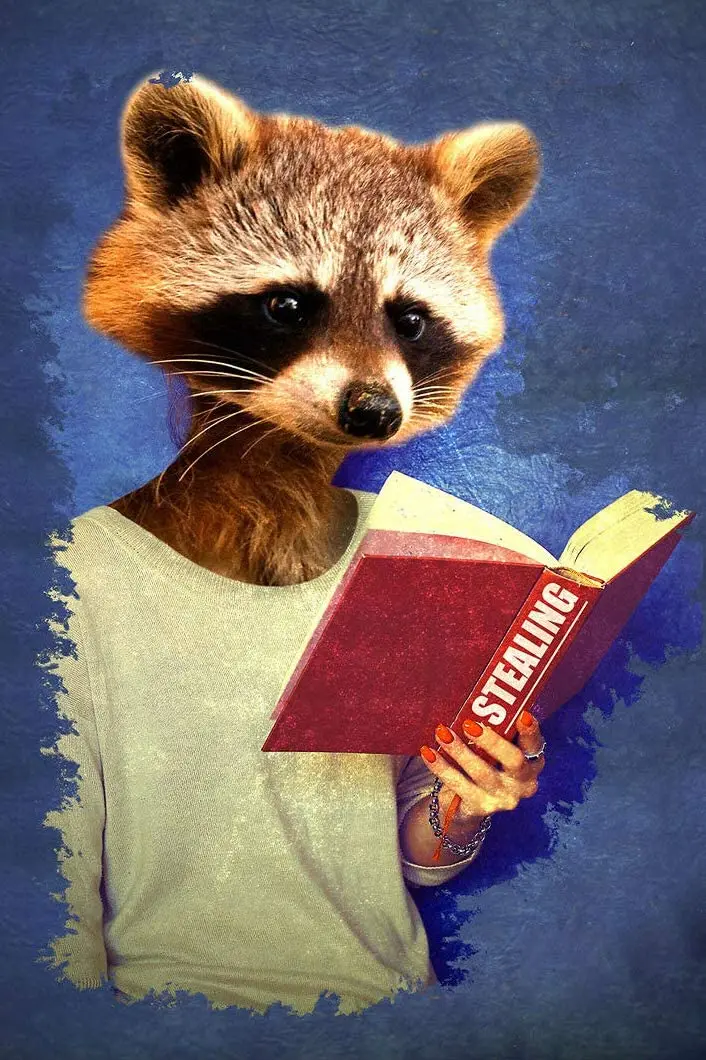 Racoon Book Thief Animal Poster Tin Sign 8x12 Inch Home Kitchen Bedroom Bar Sign Decoration Posters Tin Sign Halloween sign sign