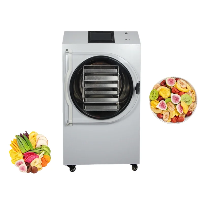 Home Commercial Small Mini Freeze Dryer Vacuum Lyophilizer Freeze Drying Machine For Food Fruits And Vegetables