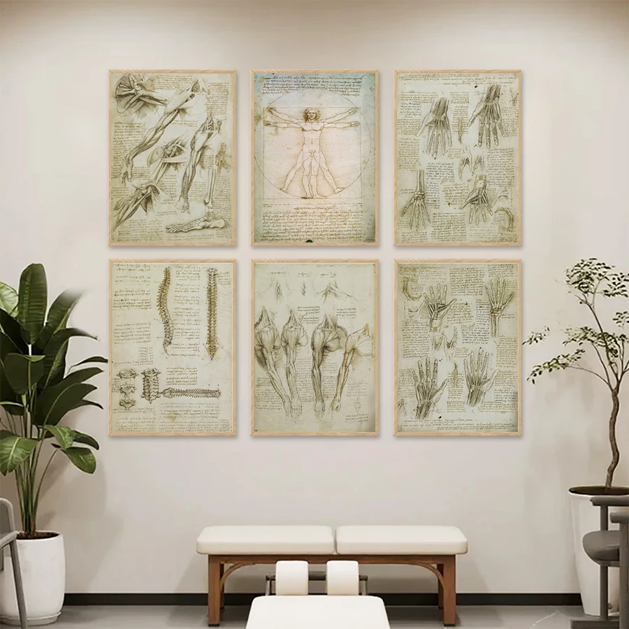 Leonardo Da Vinci The Vitruvian Man Print Vintage Anatomy Poster Human Body Medical Wall Art Canvas Painting Doctor Wall Deco