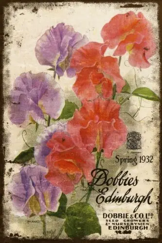 Sweet Peas Dobbie's Seeds Advert Aged Look Vintage Retro Style Metal Sign