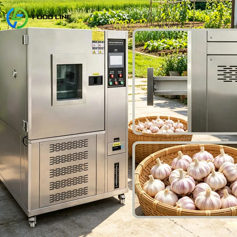 Black Garlic Fermentation Machine Commercial Food Fermentation Cabinet Smart Aging System Stainless Steel Customized
