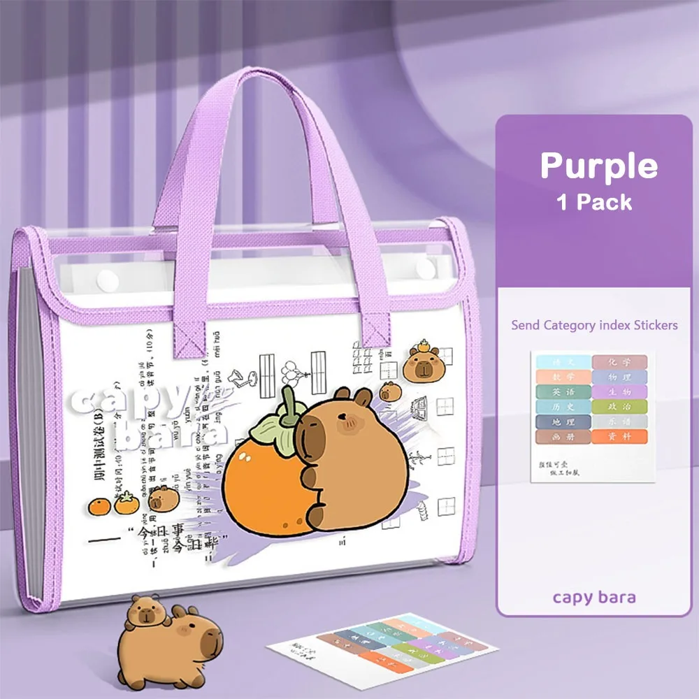 

13 Pockets Capybara Expanding File Bag Waterproof Large Capacity A4 File Folder Transparent Cute Test Paper Storage Bag Students