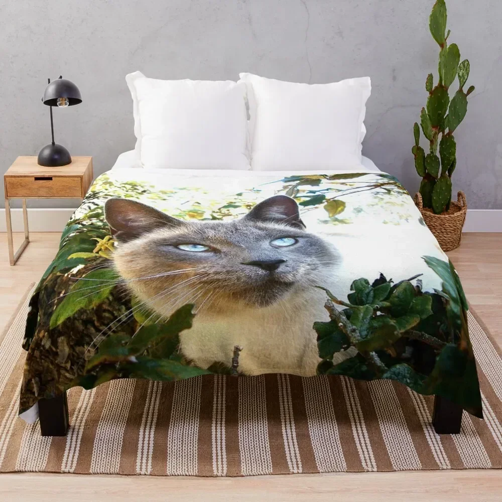 Siamese Cat in Tree Throw Blanket warm winter Hairys Custom Luxury Thicken Blankets