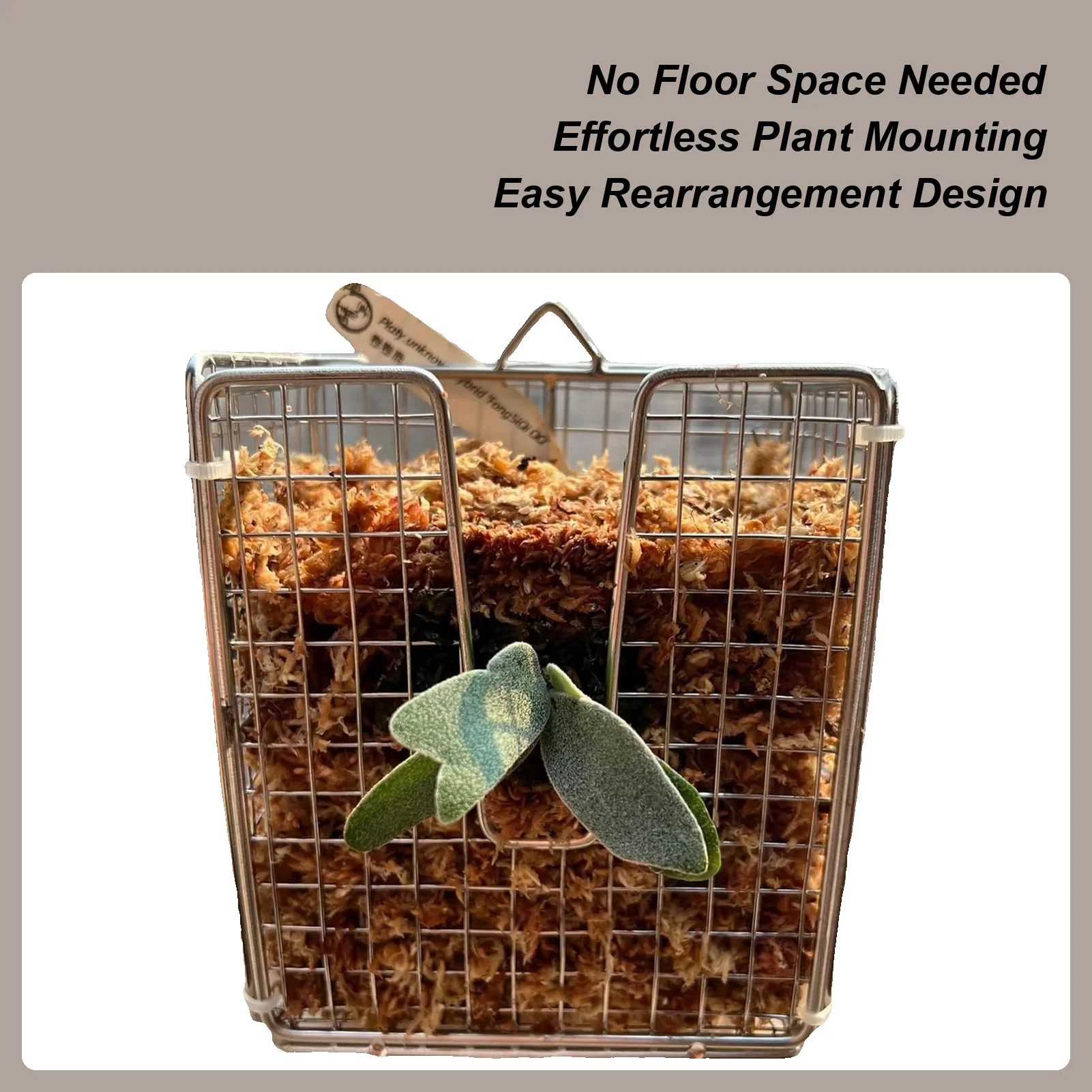 

Staghorn Fern Mount Rustproof Metal Planter For Plants Wall Mount Frame Kit Orchids Basket Vertical For Porch Bedroom Garden