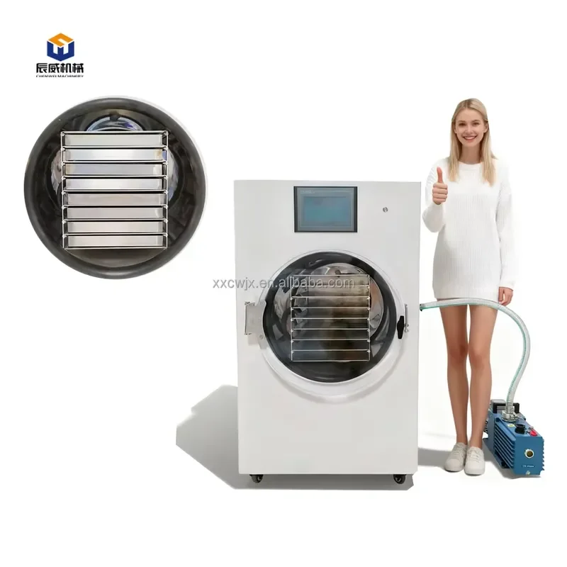 Automatic 40KG Home Commercial Dryer Machine Vegetable Fruit Processing with Vacuum Pump CE Certified