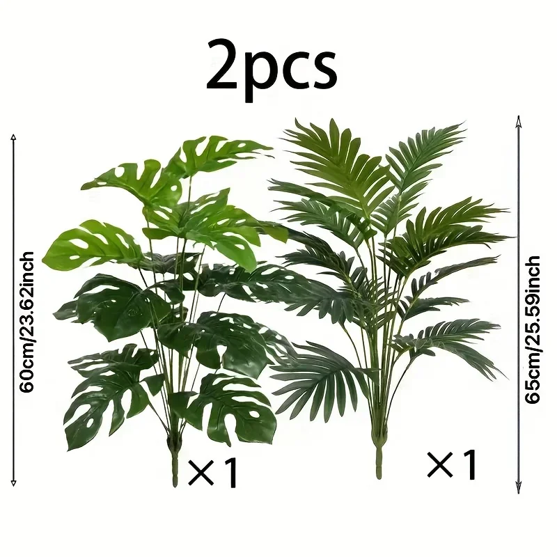 philodendron sorten Philodendron Monstera White Wave - Philodendron white wave main image 0