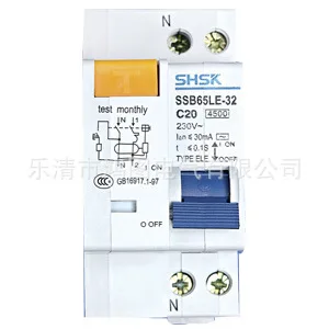 Small Residual Current Circuit Breaker SSB65LE-100