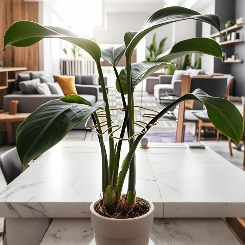 دعم جذع النبات، مثبت Monstera المتين، مدرب نباتات التسلق المعدني، ديكور الحديقة، دعم النباتات المثالي للنمو