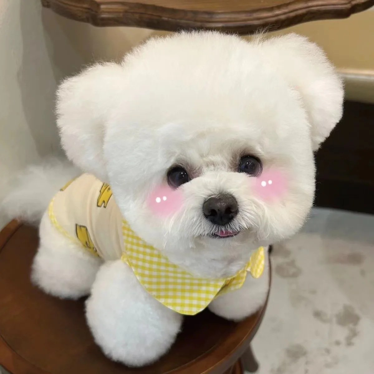 INS Yellow Plaid Lapel Vest Pet Sleeveless Shirt Yorkshire Teddy Small Dog Jacket Sun Protection and Breathability Puppy Clothes