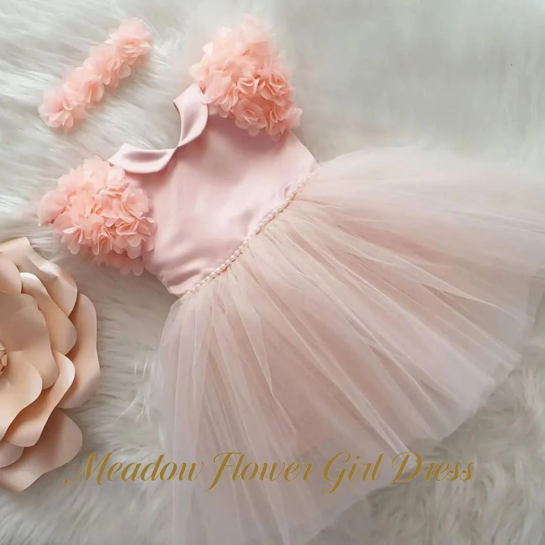 

Meadow Blush Pink V Neck Flower Girl Dress with 3D Floral Kids Birthday Dress with Pearl Waistline Cute Pageant Dress for Girl