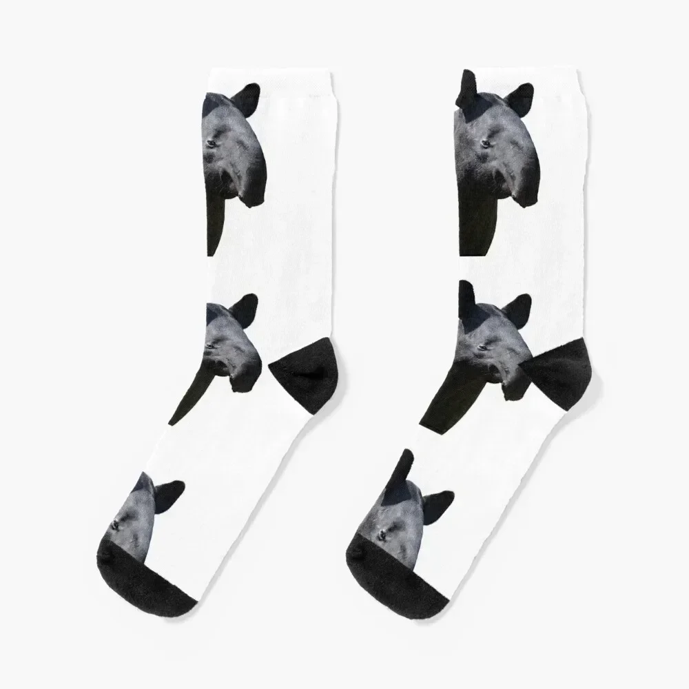 

The Most Handsome Tapir in the World Socks sheer compression Socks Men's Women's