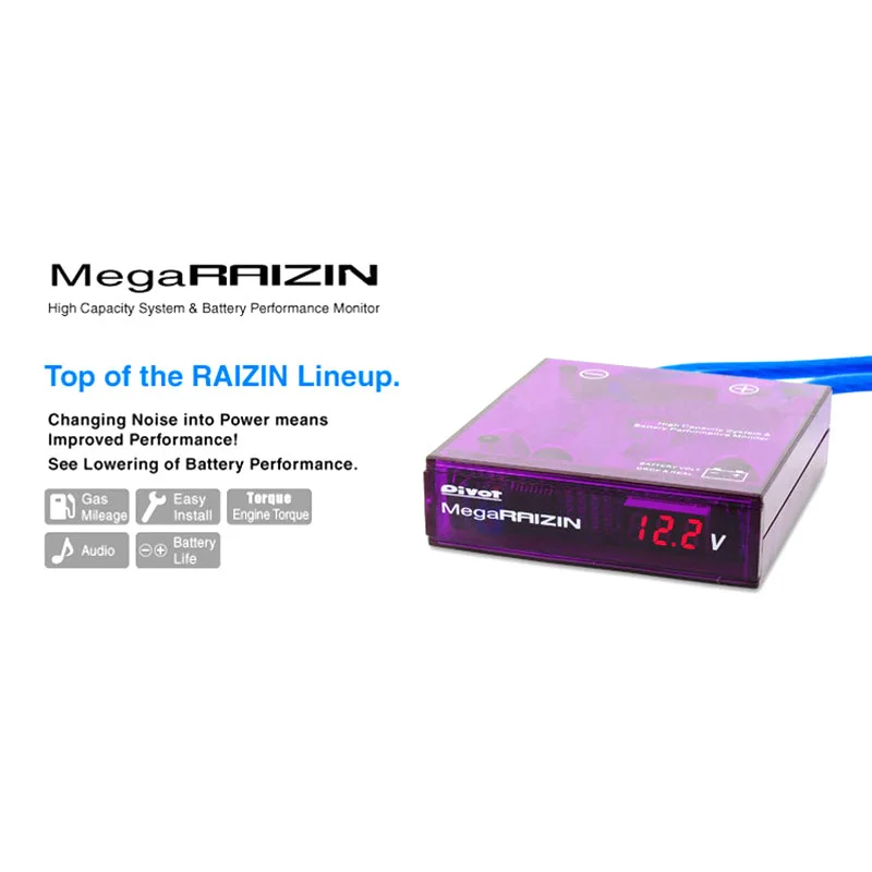 Universal Mega RAIZIN Volt Stabilizer/With 5 Ground Wires And LED Display