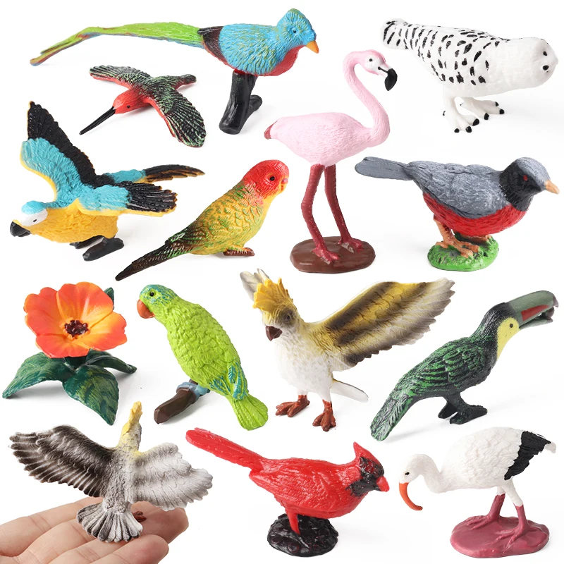 Oenux Bird Animal Parrot Flamingos Hummingbird Owl Magpie Model Action Figure Figurines Miniature Education Kid Toy Cake Toppers