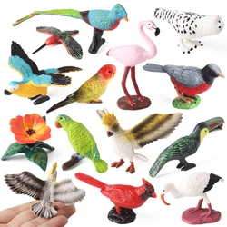 Oenux Bird Animal Parrot Flamingos Hummingbird Owl Magpie Model Action Figure Figurines Miniature Education Kid Toy Cake Toppers