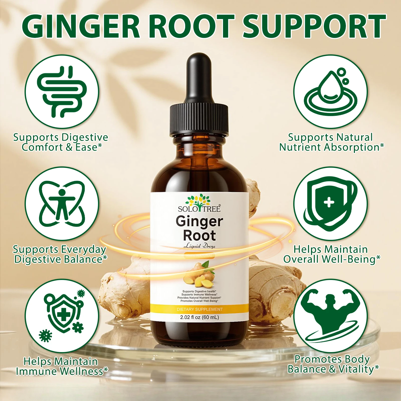 Ginger Root Liquid Drops Supports Digestive Health Immune Wellness Gut Balance Comfort Ginger Extract 500mg 60 Servings Adults