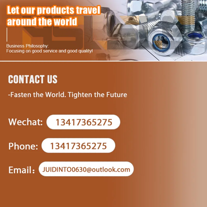 Contact Us for Screws, Nuts, Washers, Bolt and Nuts Assorted Kit Customized