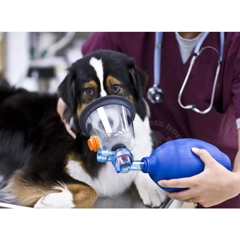 Pet Oxygen Mask Kit Dog Cat Oxygen Inhalation Atomizing Mask for Animals 5 Sizes Veterinary Tools