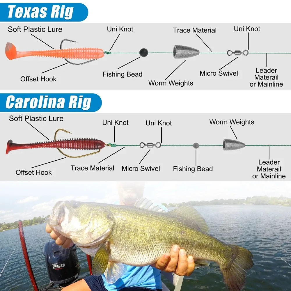 Plataforma Carolina Texas para lubina con plomos y anzuelos