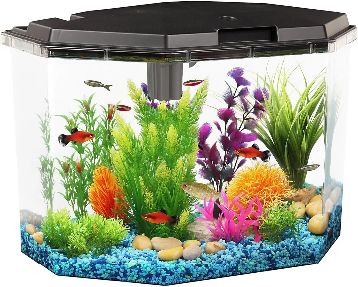 6.5-Gallon Aquarium Kit with Power Filter and LED Lighting, Complete Setup for Home or Office