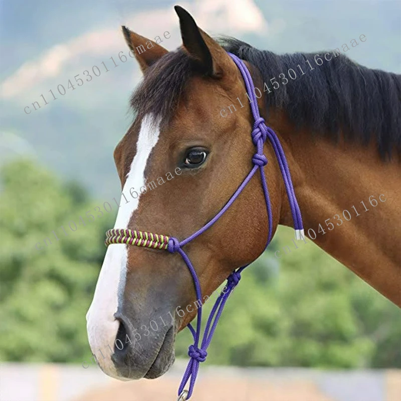 American training bridle, braided horse head rope, equestrian supplies lead rope