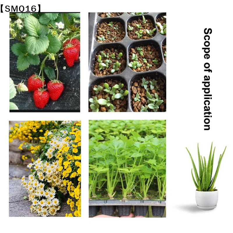 10Pcs Seedling Trays Plastic G - đánh giá và giá Seed Starter Trays