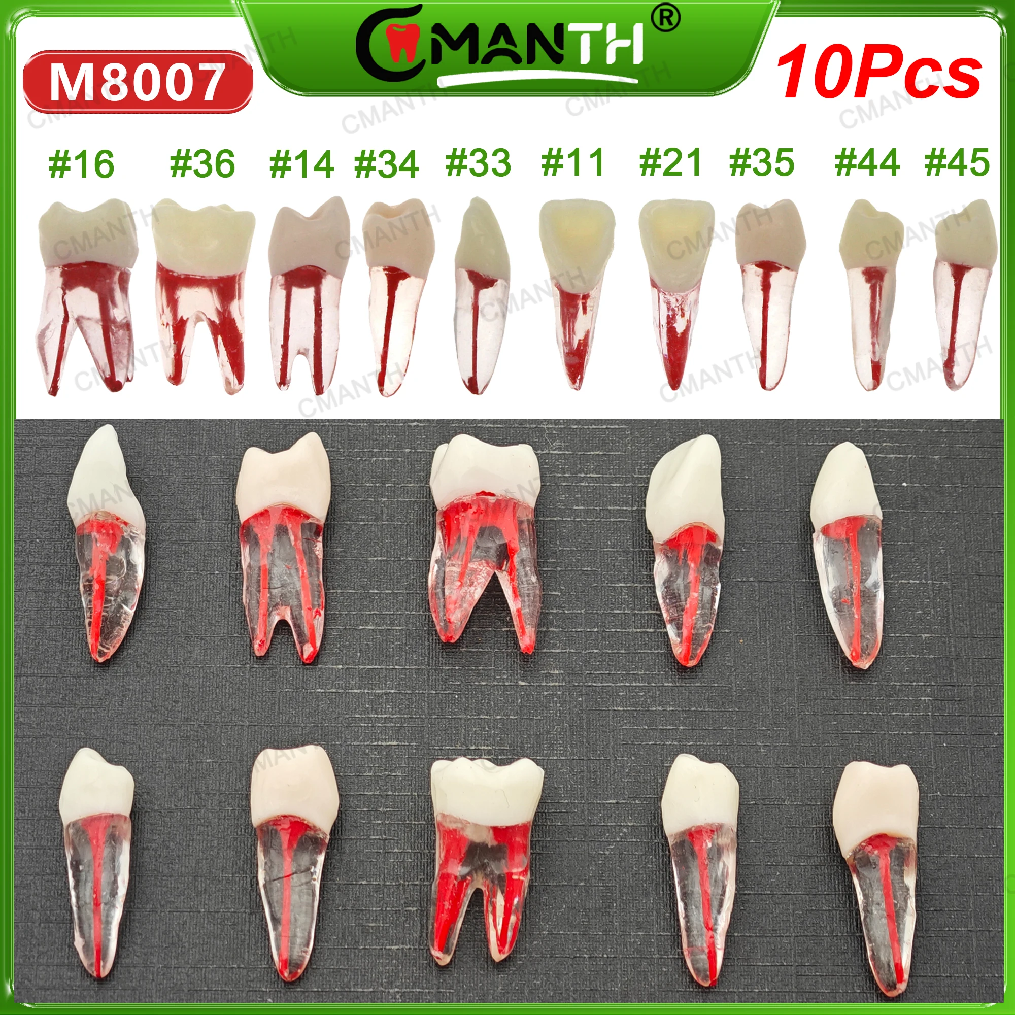 

10 шт., стоматологический эндодонтический корневой канал, RCT, практика зубов, эндодонтический блок, модель зуба из смолы, пульповая полость, исследование, обучение стоматологии