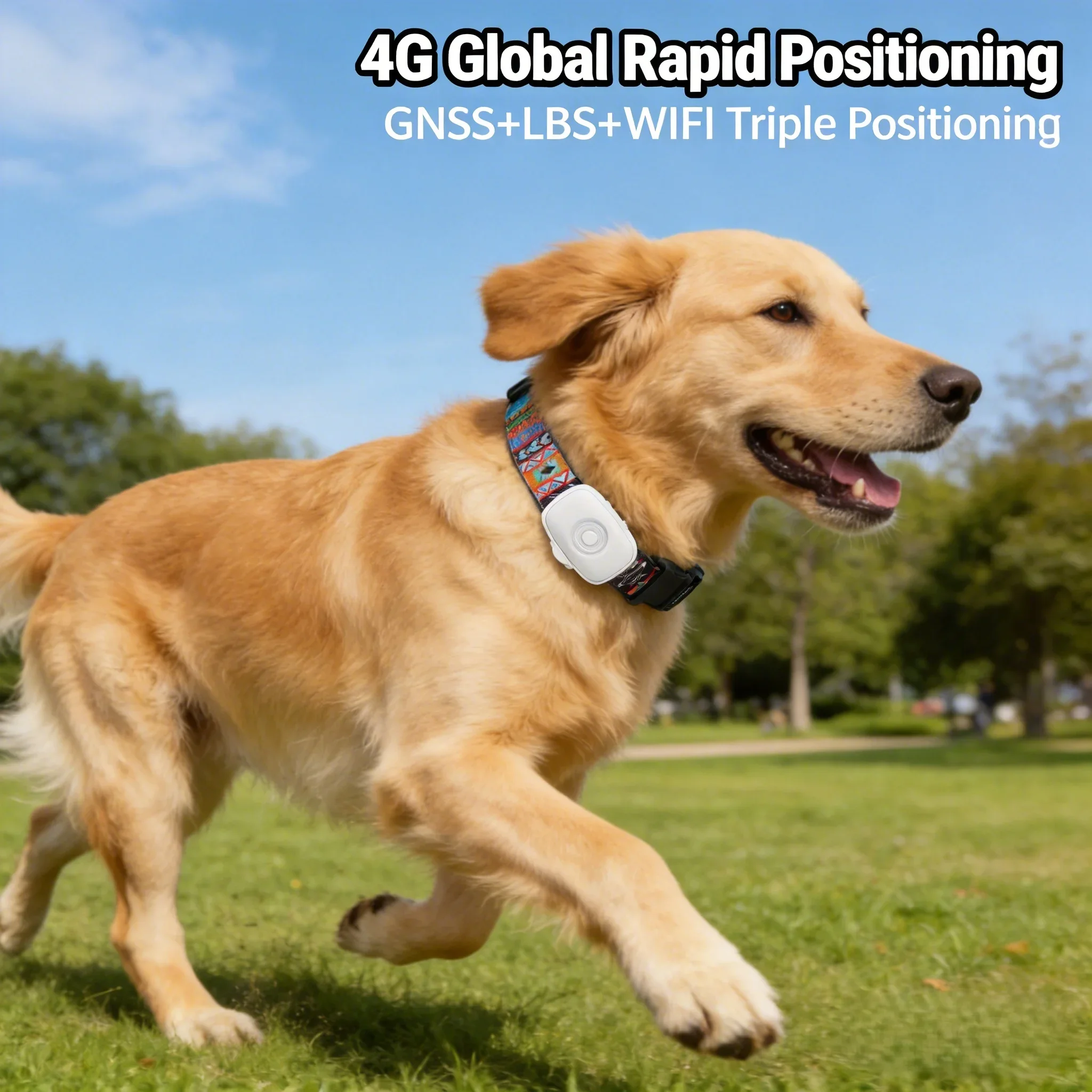 4G Pet GPS Tracker for Dogs Cats No Subscription Fee IP66 Waterproof Real Time Location Mobile App