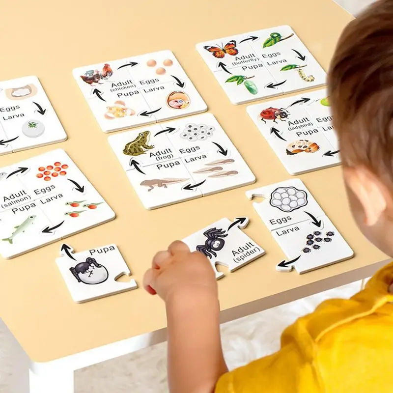 Kit de ciencia del ciclo de vida, bandeja de ciclo de vida reutilizable, Kit de ciencia preescolar, herramienta educativa, juegos de rompecabezas interactivos para niños de edad