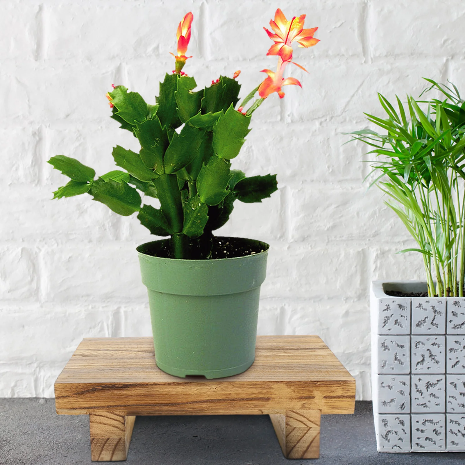 

Sturdy Wooden Stool Multi-Functional Storage Rack Balcony Flowerpot Holder Desktop Plant Stand Footstool Living Room