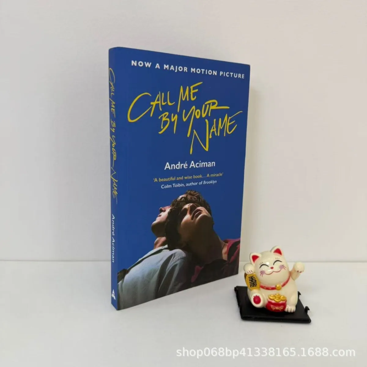 

Call Me By Your Name By André Aciman | Major Motion Picture Adaptation Literary Fiction Romance Story Contemporary Novel Book