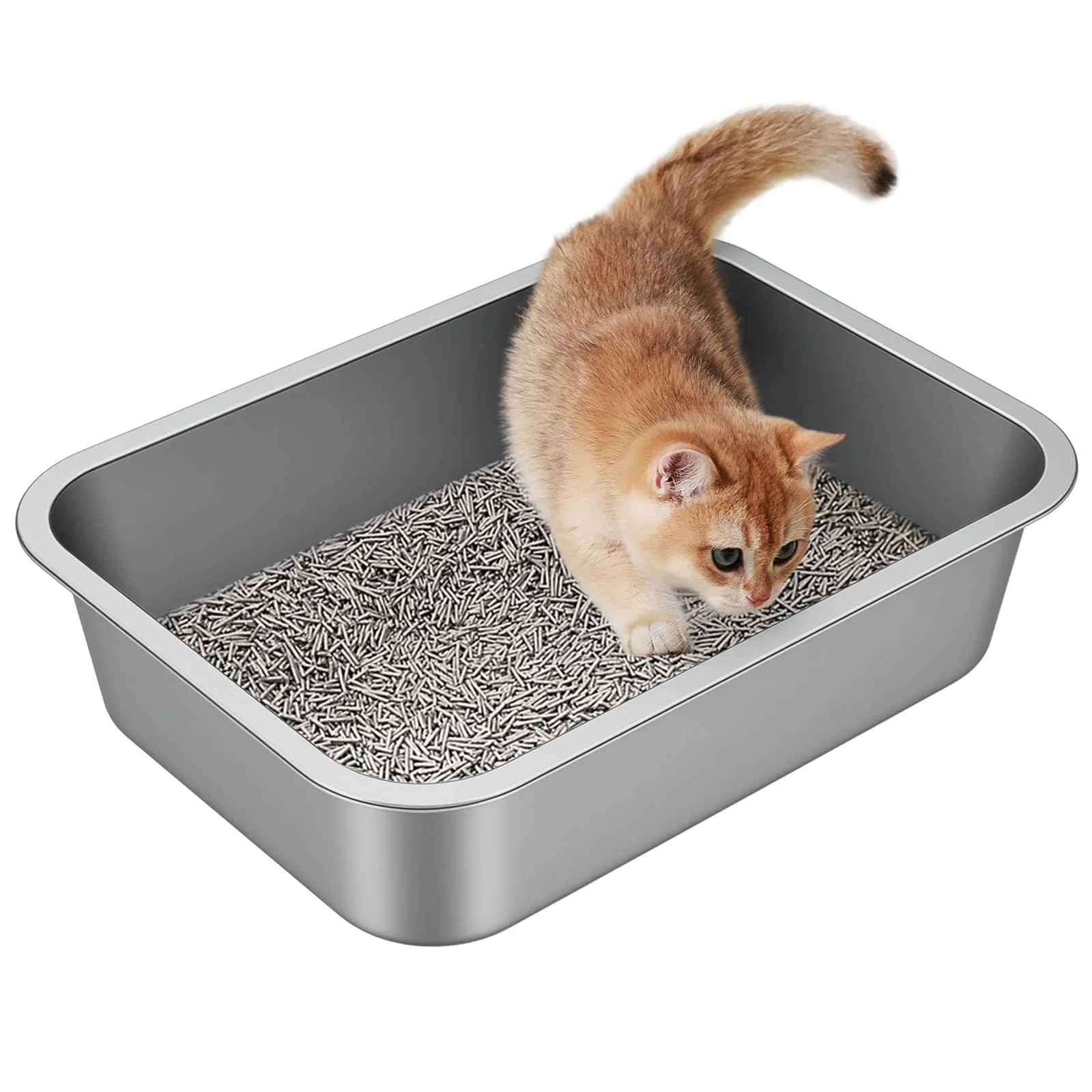 Stainless Steel Cat Litter Box - (19.69