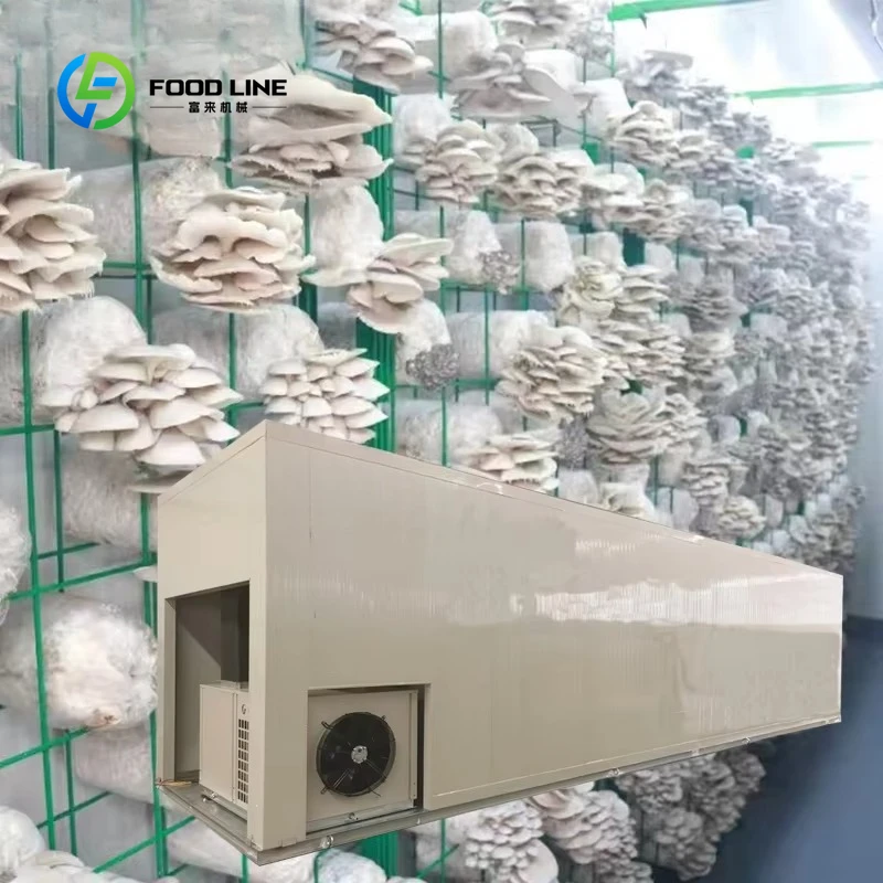 Customized 20ft/40ft Mushroom Growing Equipment Mushroom Cultivation Container king oyster Mushroom Planting Equipment