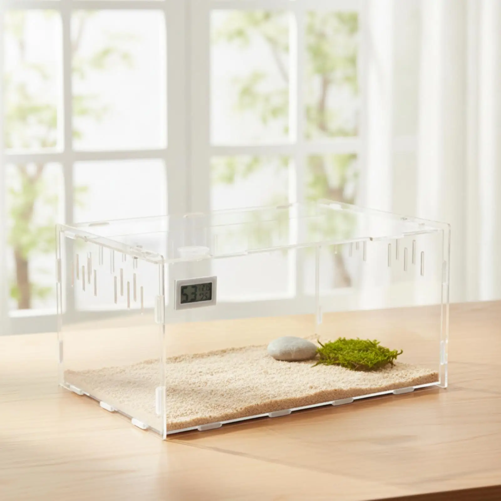 Compact Desktop Reptile Habitat - Easy Assembly